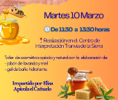 IV Jornadas Berta Wilhelmi - Talleres y Actividades