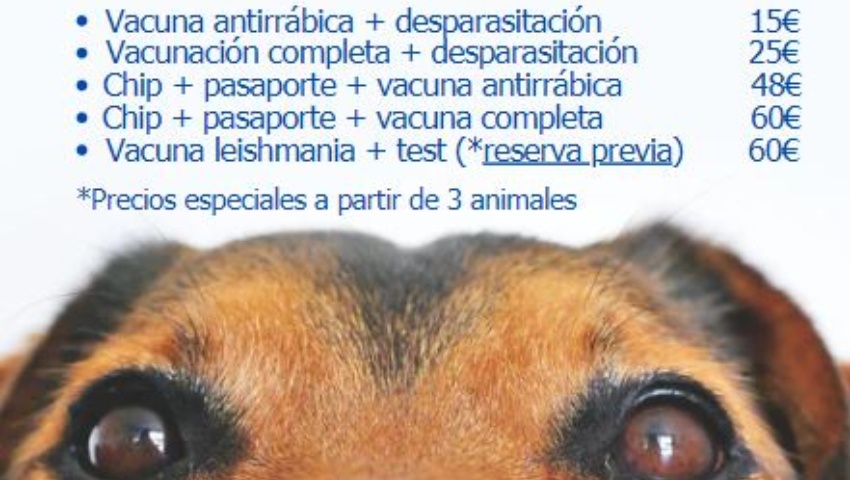Campaña vacunación antirrábica Pinos Genil