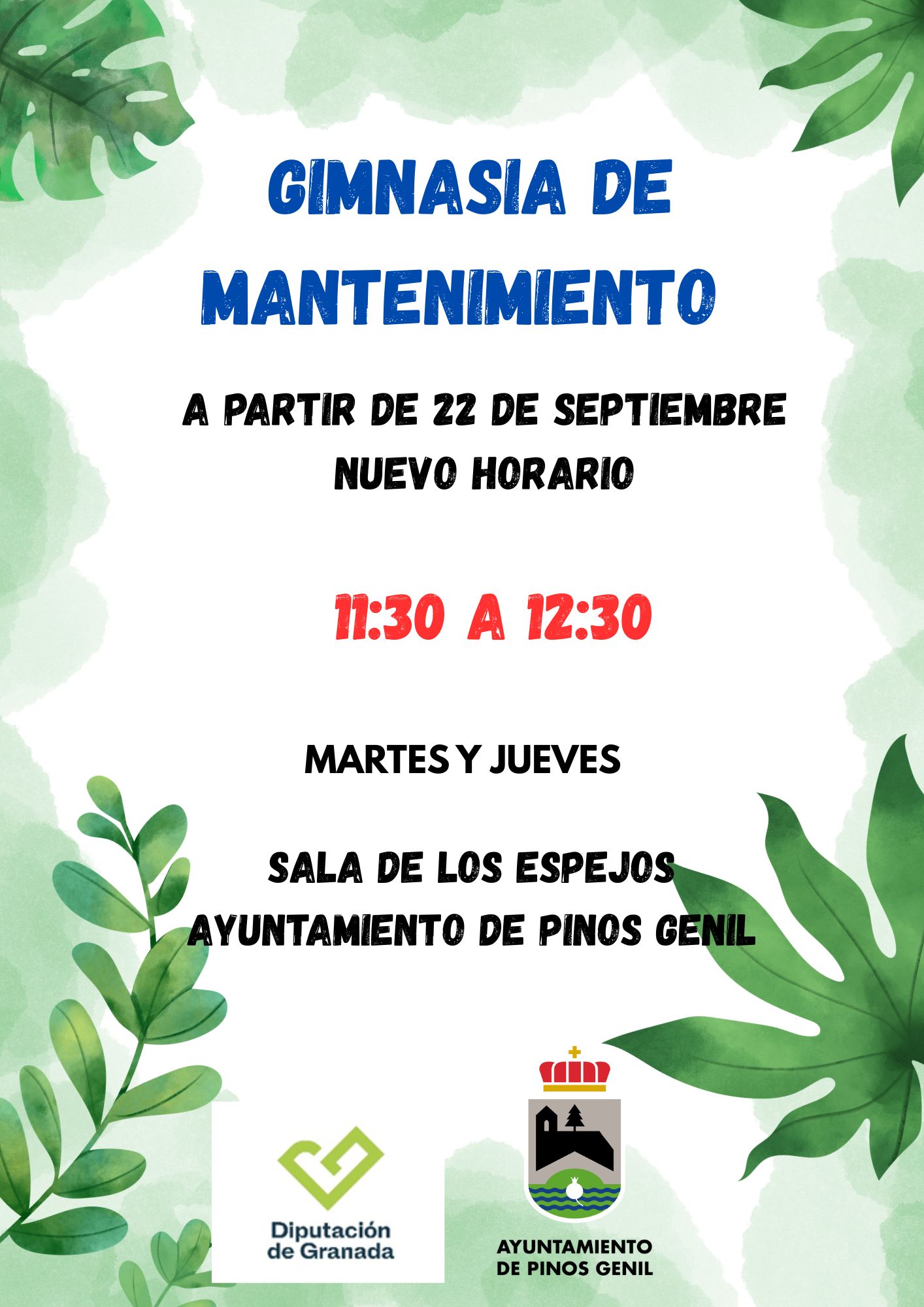 Gimnasia de mantenimiento