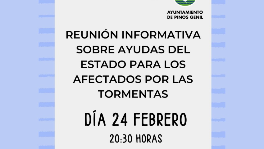 Reunion Informativa AyudasIG