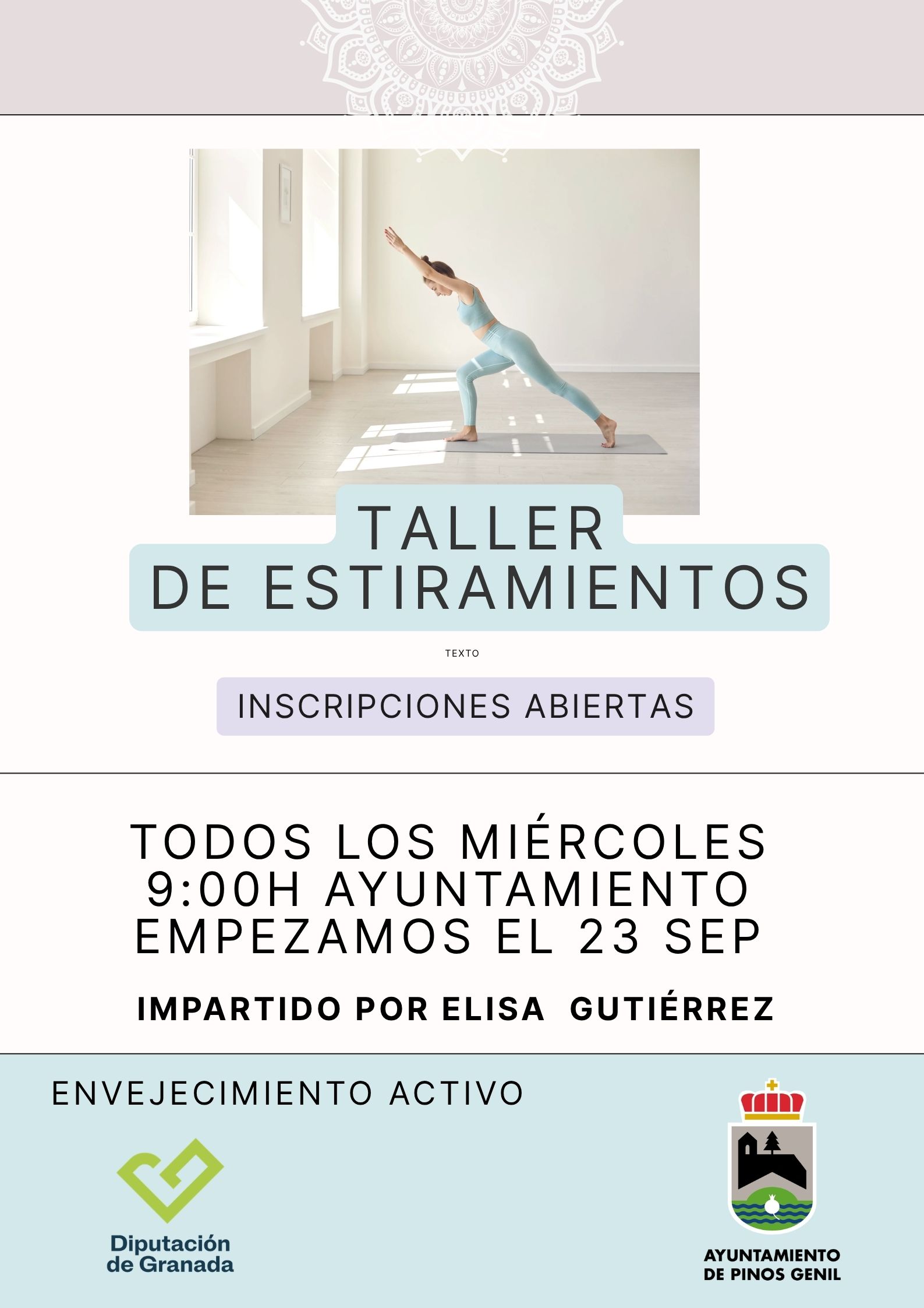 Taller de Estiramientos Taller de Estiramientos