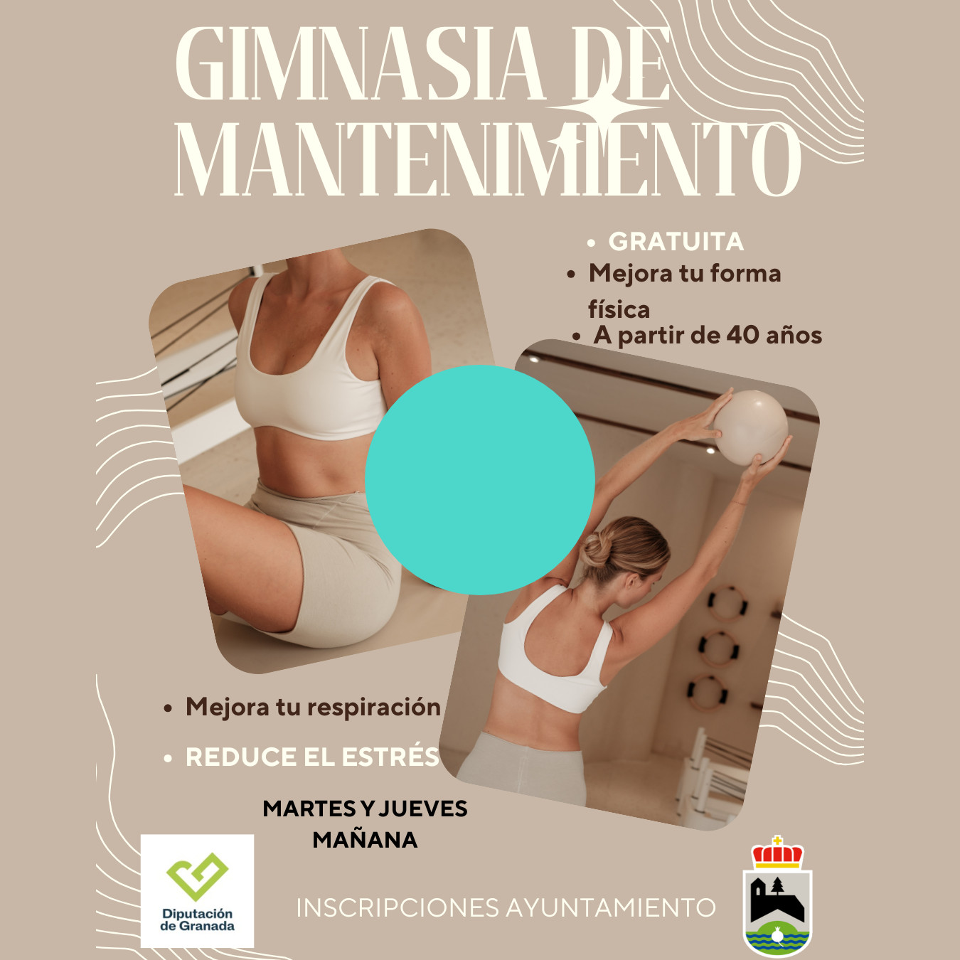 Gimnasia de Mantenimiento